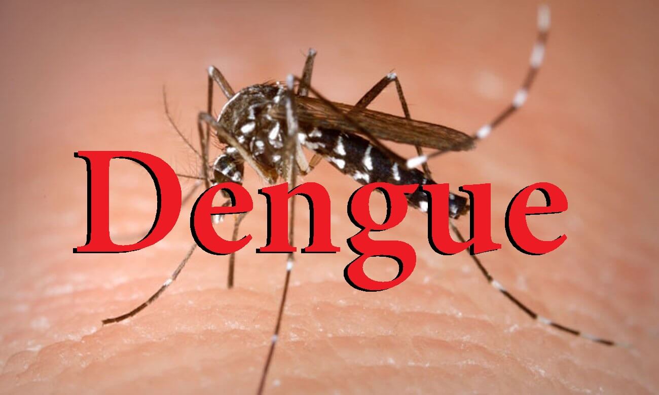 Dengue Fever Vaccin Information Advice Travel Health Assist